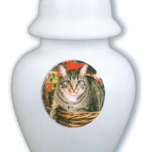 White cremation urn with image of cat